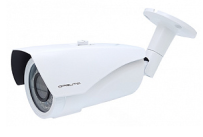 IP камера Орбита OT-VNI40